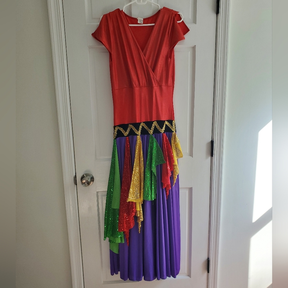 Gypsy Costume